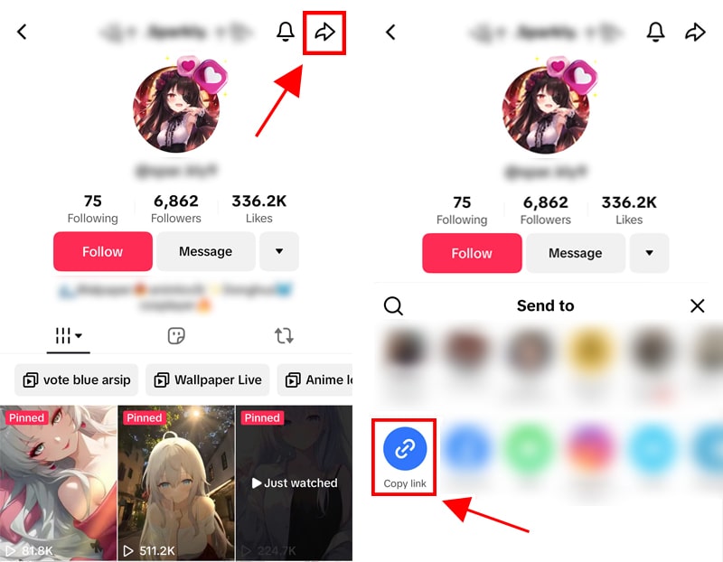 copy tiktok username